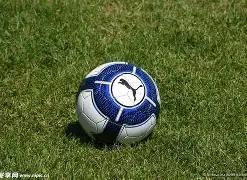 商院篮球赛,商院杯,完美落幕,开云体育,开云体育官网,开云体育app,开云体育平台,KAIYUN,SPORTS,kaiyun登录入口