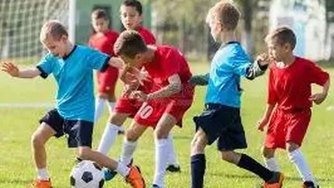 KAIYUN SPORTS 产品 083050 zqd