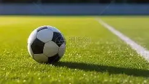 KAIYUN SPORTS 产品 083045 ln7