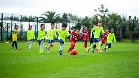 KAIYUN SPORTS 产品 083049 q5e