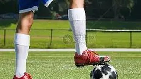 KAIYUN SPORTS 资讯 083051 hlg