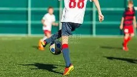 KAIYUN SPORTS 资讯 083050 08y