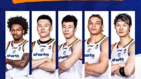 篮球盛宴：公牛vs快船巅峰对决，五连胜对决揭秘，让分攻略抢先看！